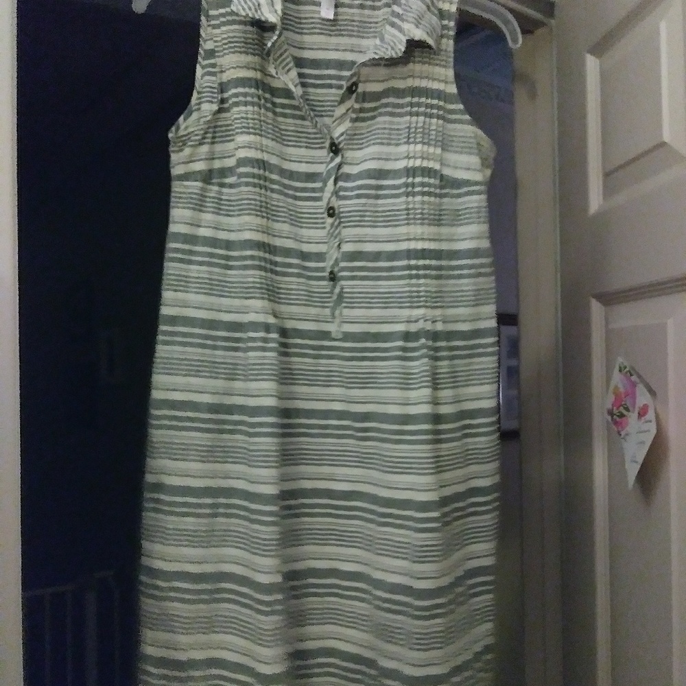 Shift Dress - Picture 3 of 3
